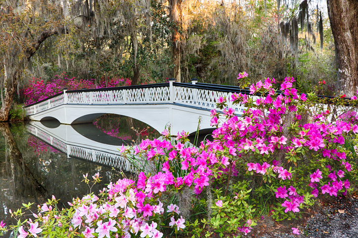 Top 10 Things to Do in Charleston, SC